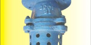 Foot Valve