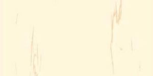 607 X 607 Porcelain Floor Tiles