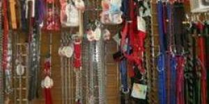 Dog Accessories