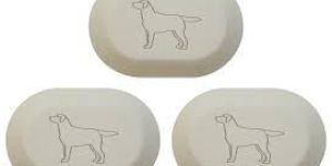 Dog Soap