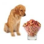 Natural Dog Food