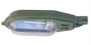 CFL Street Light Fitting