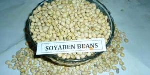 Soybean Seeds