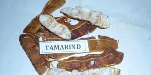 Tamarind