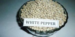 White Pepper Seeds