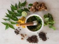Ayurvedic Medicinal Herbs