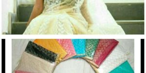 Patola Net Georgette