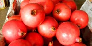 Fresh Pomegranate