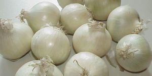 Fresh White Onion