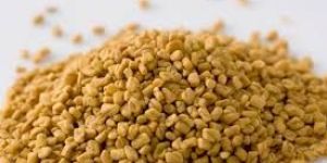 Fenugreek Seeds