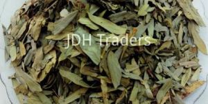 Prime 3 Senna Leaves