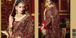 Rich Emroidered Indian Bridal Saree
