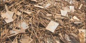 Iron Scraps