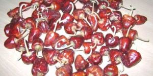 Mundu Chillies