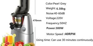 BlueBerry BMW Slow Juicer SJ-7S