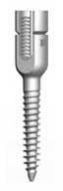 Reduction Multi Axial Screw - Titanium 002