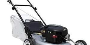 Push Type Petrol Mowers