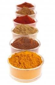 Indian Masala Products