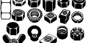 NUTS .5d, 8d, 1d, 1.5d and OTHER NUTS