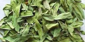 Cassia Angustifolia Leaves