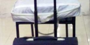 Leather Trolley Bag (02)