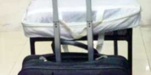 Leather Trolley Bag (03)