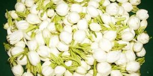 Fresh Jasmine Flower (02)