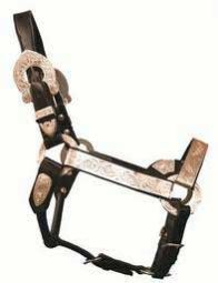 Horse Riding Product 003