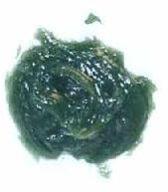 High Temperature Grease