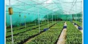 Agro Shade Net
