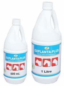 Phytochemical Bioactives