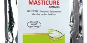 MASTICURE