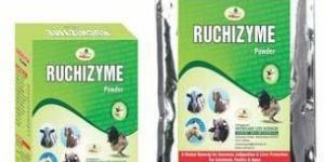 Ruchizyme