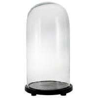 Glass Dome