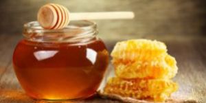 Pure Forest Honey
