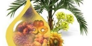 All Types of Vegetable Oils in Crude and Refined Forms.