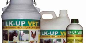 Milk UP Vet
