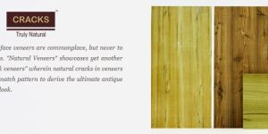 Cracks Veener