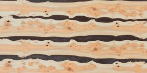 Natural Tree Veneer