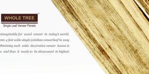 Whole Tree Veener
