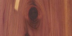 Red Cedar Wood