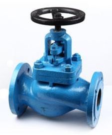 Globe Valve