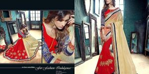 Wise Red Georgette on Fancy Net Designer Saree