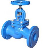 Globe Valve