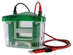 Protein Electrophoresis