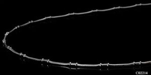 C - 02214 F Silver Chains