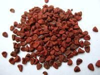 Annatto Seeds