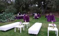 Wedding Furniture Metal Furniture