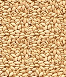 Hulled Sesame Seeds