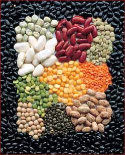 Indian Pulses